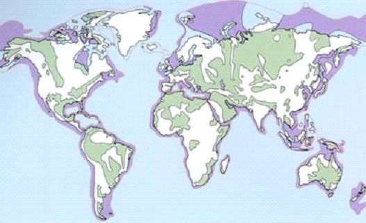 World map of sedimentary basins